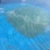Cleaning Swimming Pool - cloudy area in pool
