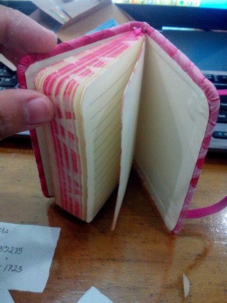 Budget Organizer Notebook - back section to use for envelopes