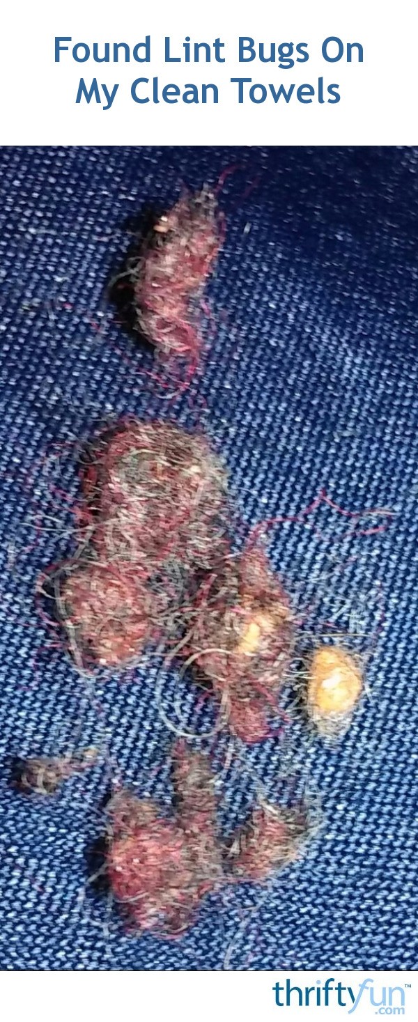 Found Lint Bugs On My Clean Towels? ThriftyFun