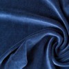 Blue velour fabric.