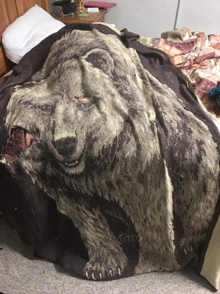 Repairing a Worn Blanket - bear image throw blanket