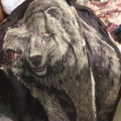 Repairing a Worn Blanket - bear image throw blanket