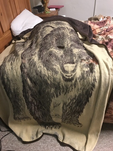 A worn blanket with a bear pattern.