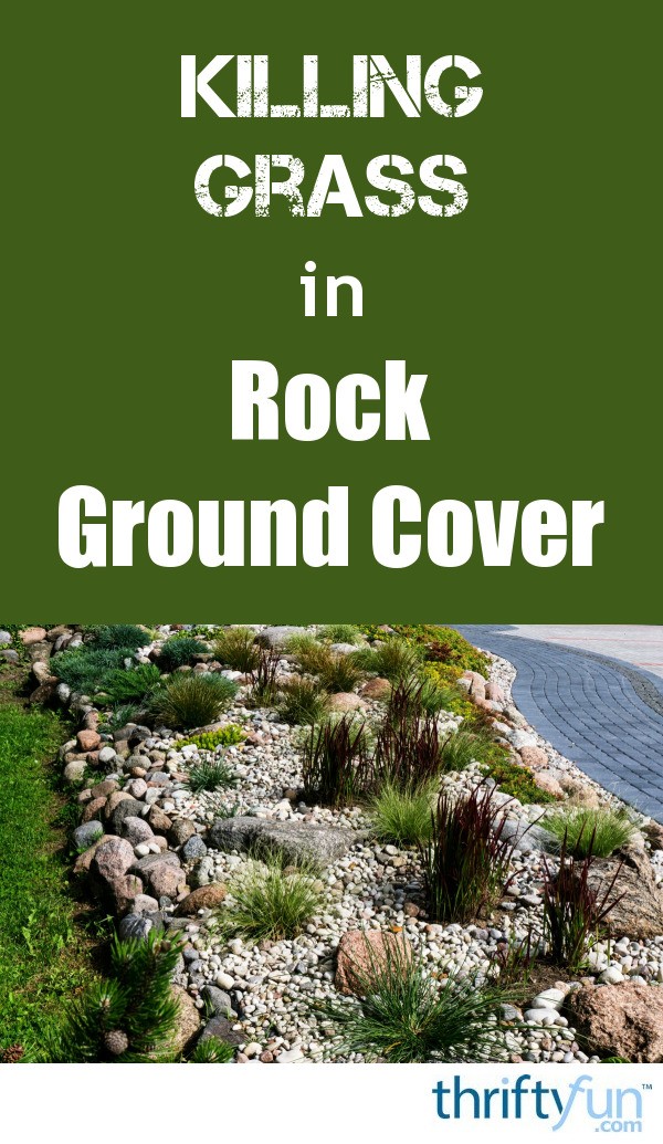 Killing Grass in Rock Ground Cover | ThriftyFun