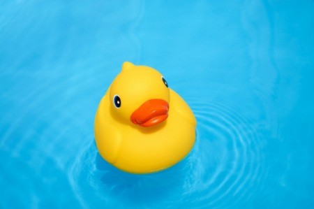 A rubber duck floating in a swimming pool.