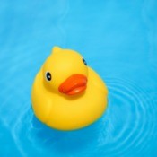 A rubber duck floating in a swimming pool.