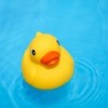 A rubber duck floating in a swimming pool.