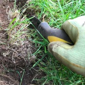 Using a Linoleum Knife to Edge Grass - defining edge of garden and removing invading grass