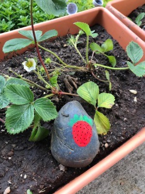 A rock painted with a red strawberry.