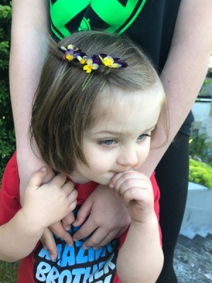 Toddler Fun With Flowers - little boy with flowers in his hair