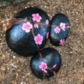 Painted Rocks in the Garden - three black painted rocks that combine to make a tree with cherry blooms