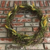 A wreath with living air plants.