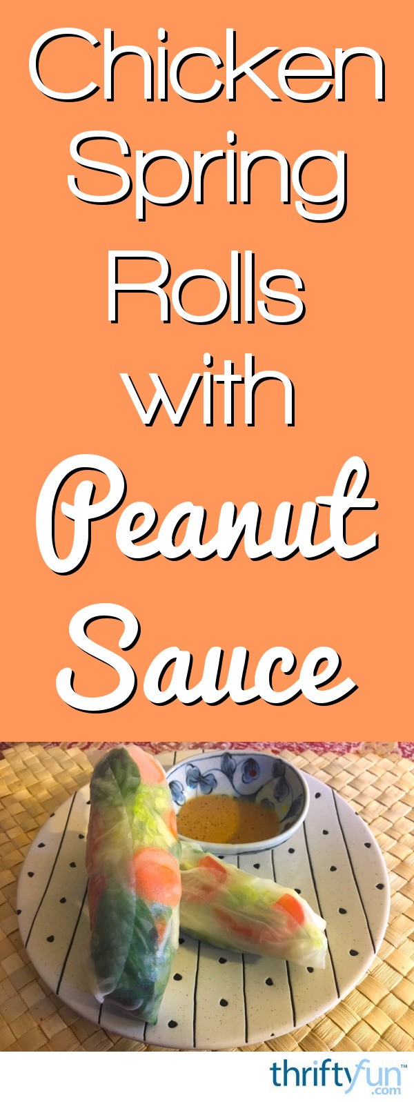Chicken Spring Rolls with Peanut Dipping Sauce | ThriftyFun