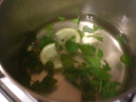 spearmint and lemon in hot water