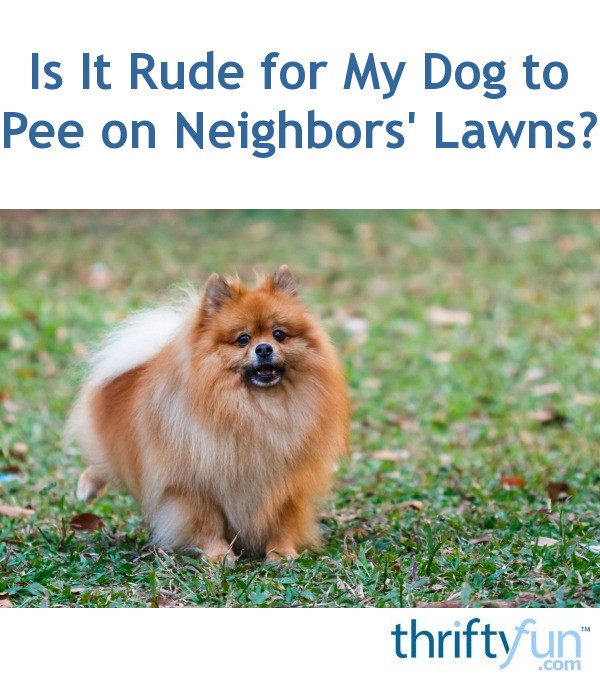 Is It Rude for My Dog to Pee on Neighbors' Lawns? ThriftyFun