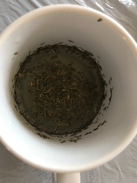 dried thyme in mug with hot water