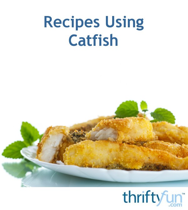 Recipes Using Catfish ThriftyFun