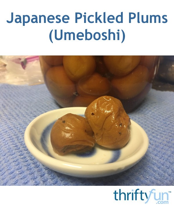 Japanese Pickled Plums (Umeboshi) | ThriftyFun