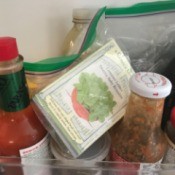 Store Seeds in the Fridge - romaine lettuce seeds in a bag on fridge door with condiments