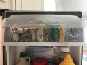 Store Seeds in the Fridge