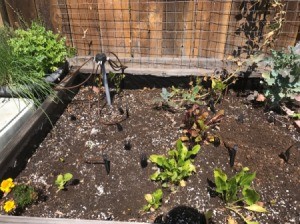 Forks in the Garden to Scare off Animals