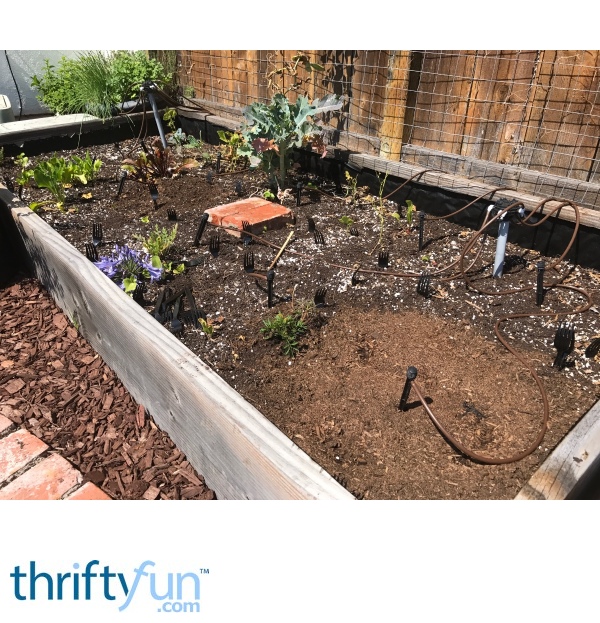 Forks in the Garden to Scare off Animals ThriftyFun