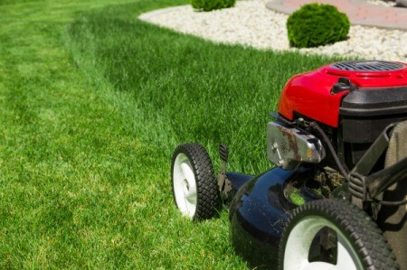 Lawn Mowing Tips | ThriftyFun