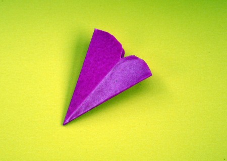 Paper Flower Decorations - open out the last fold