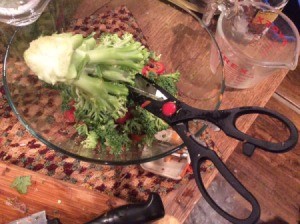 Cut Salad Greens with Scissors - cutting greens with scissors