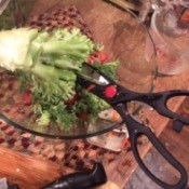 Cut Salad Greens with Scissors - cutting greens with scissors