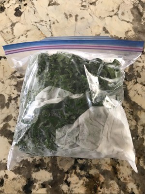 Freshly washed kale stored in a ziploc bag.