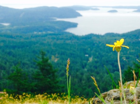 A scenic shot of the San Juan Islands