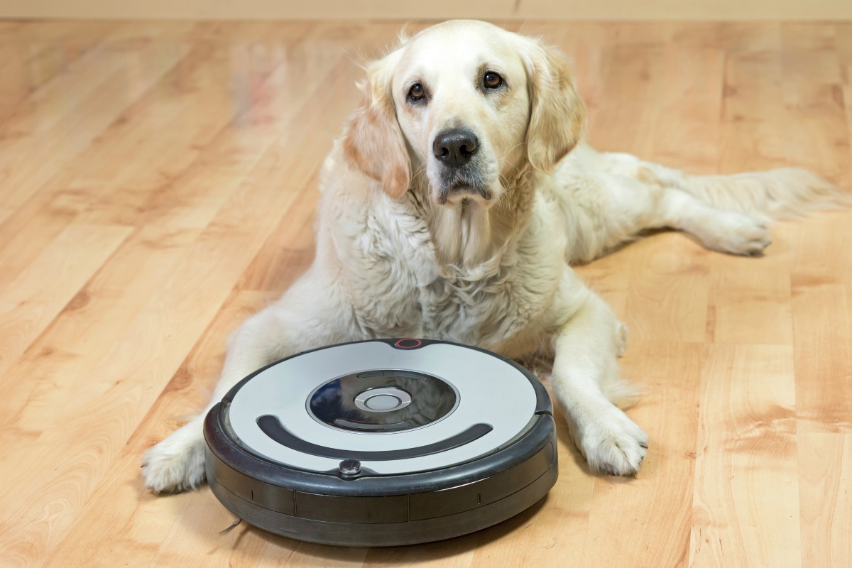 how do you keep hardwood floors clean with dogs