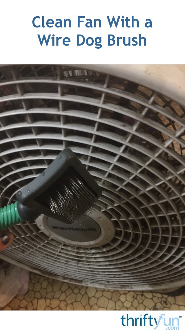 Clean Fan With a Wire Dog Brush ThriftyFun