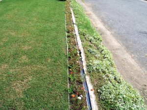 Sunken Gutters For Flower Border Containers - newly replanted