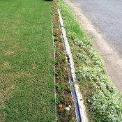 Sunken Gutters For Flower Border Containers - newly replanted