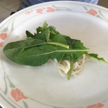 Shrimp Spring Rolls being filled