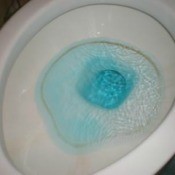 A stain above the water line in a toilet.