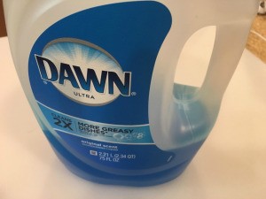 A bottle of Dawn dish soap.