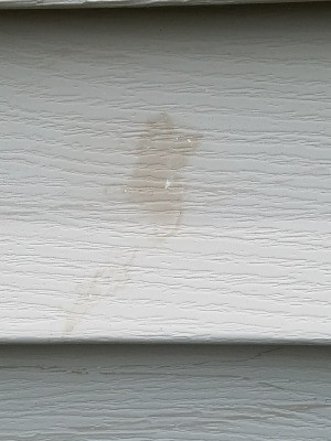Cleaning Stains Off Vinyl Siding - tan stain on siding