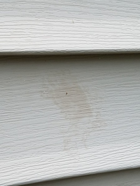 Cleaning Stains Off Vinyl Siding