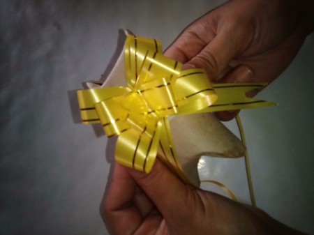 Recycled Tissue Roll for Small Gift Wrapping - add a bow and it is ready to give