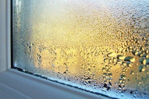 Window with condensation on the inside.