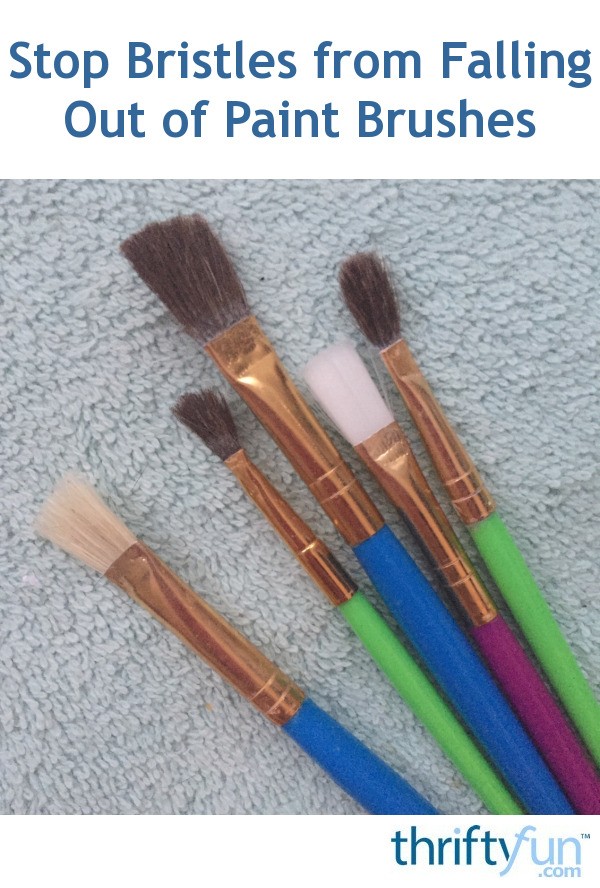 Stop Bristles from Falling Out of Paint Brushes ThriftyFun