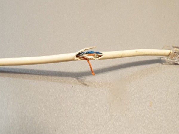 A data cable for a computer with a large torn spot, exposing the wires.