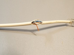 A data cable for a computer with a large torn spot, exposing the wires.