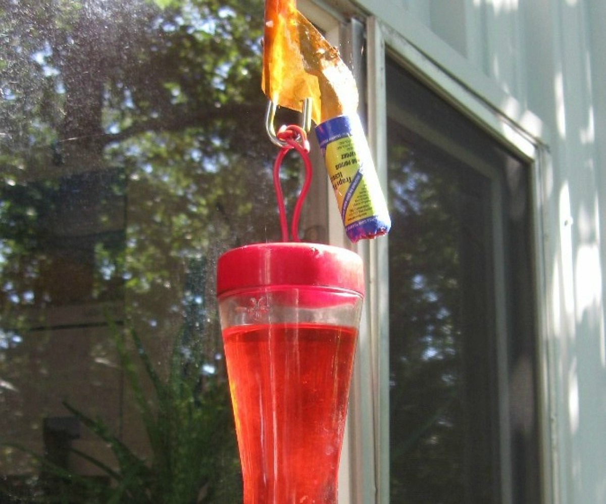 Use Flypaper for Keeping Ants Out of Hummingbird Feeders | ThriftyFun
