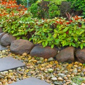 Raised Bed Made With Rocks