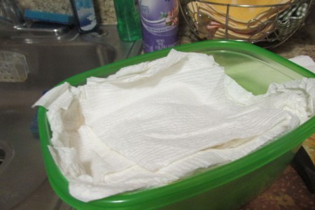 A plasticware container filled with paper towels.