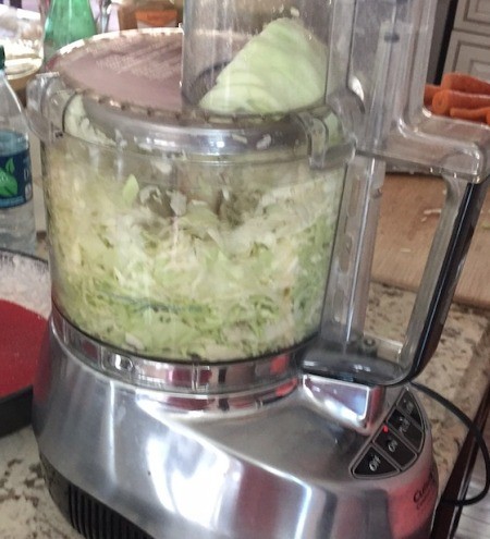 cabbage in food processor